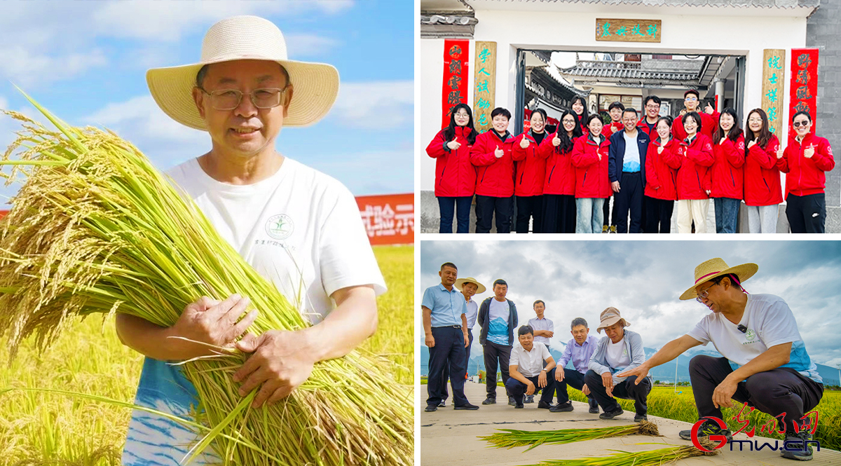 【思政开放麦·时事热点微评】打造科技小院集群,培养强农报国先锋方阵 【思政开放麦·时事热点微评】打造科技小院集群,培养强农报国先锋方阵