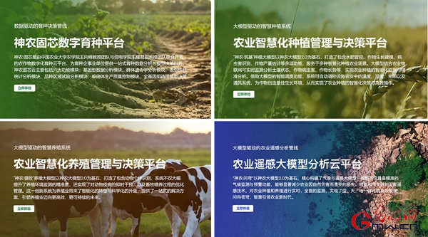 【思政开放麦·时事热点微评】神农大模型:向新提质 强农报国 【思政开放麦·时事热点微评】神农大模型:向新提质 强农报国